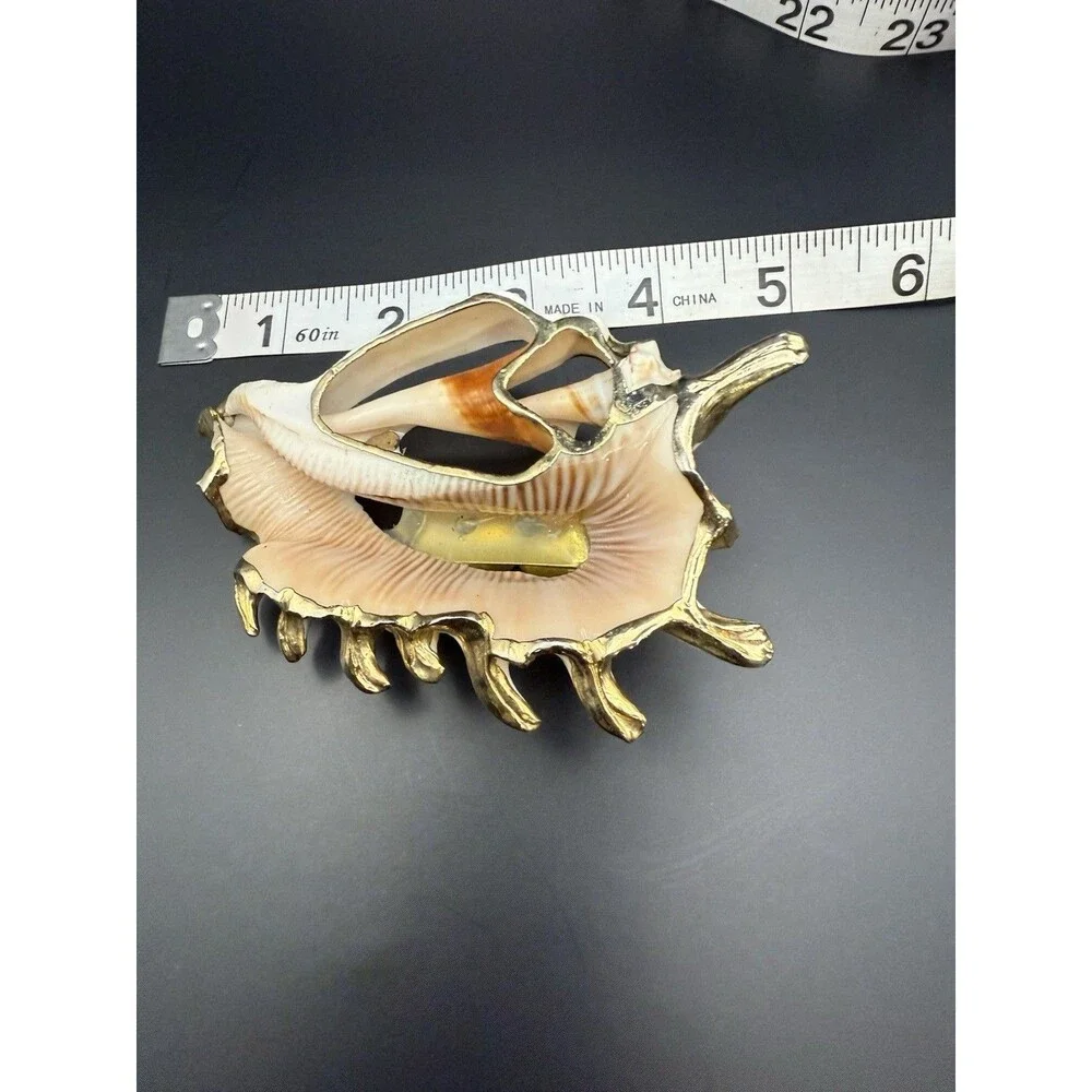 women belt buckle , Cronch. Ocean And Shell Theme. Accessory To Beautify A Belt.